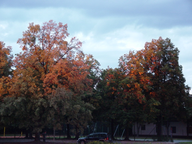 DSC00521