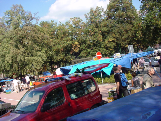 DSC00542