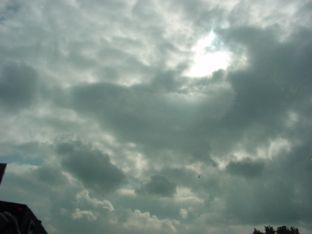 DSC00490