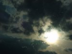 DSC00497