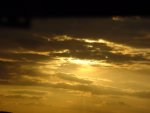 DSC00500