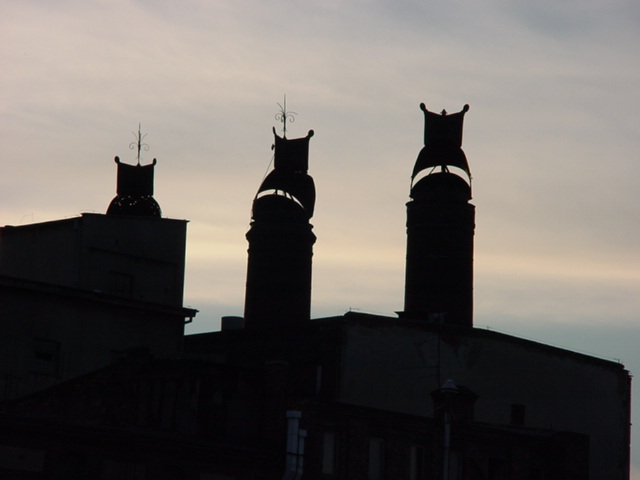DSC00501