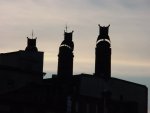DSC00501