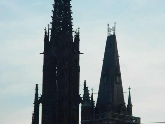 DSC00502