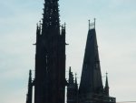 DSC00502