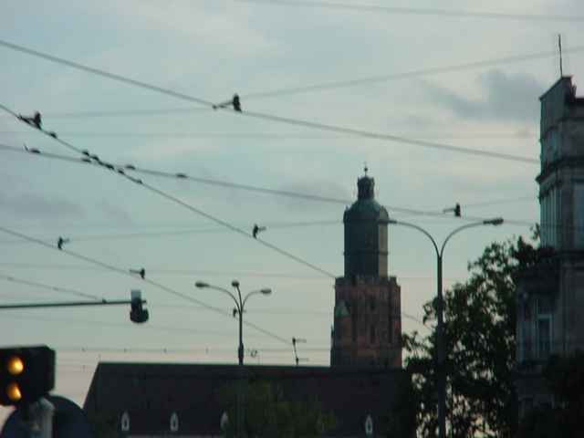 DSC00509
