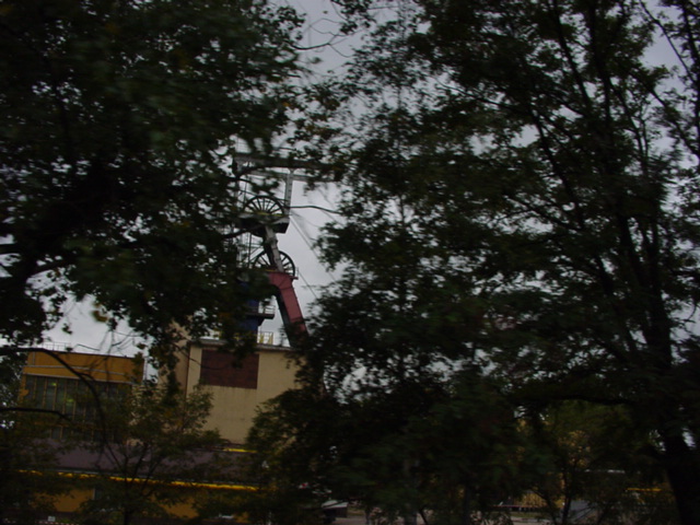 DSC00515