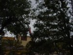 DSC00515