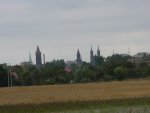 DSC00519