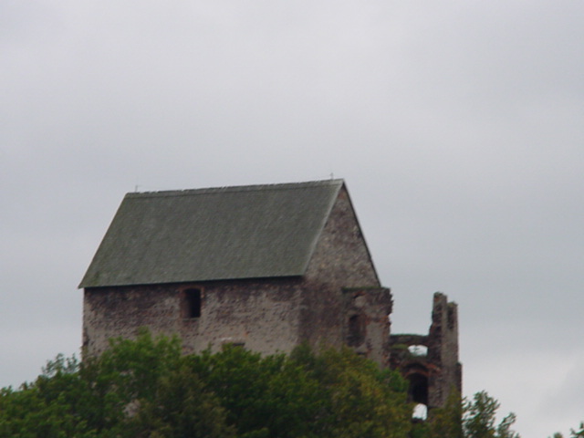 DSC00520