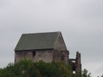 DSC00520