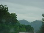 DSC00525