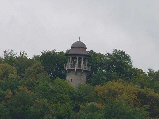 DSC00528