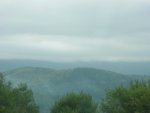 DSC00529