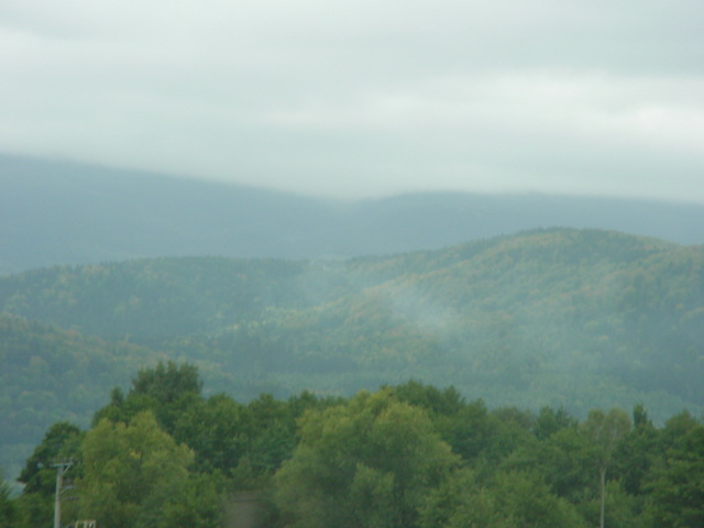 DSC00530
