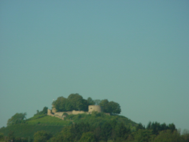 DSC00562