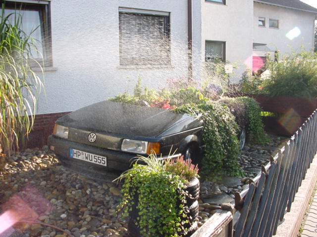 DSC00487