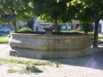 DSC00509