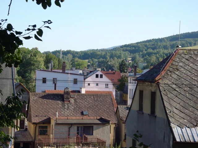 DSC00516
