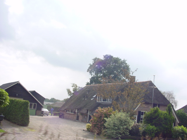 DSC00530