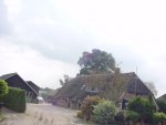 DSC00530