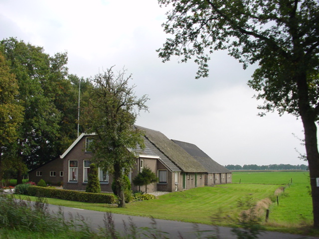 DSC00531