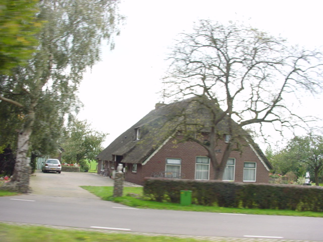DSC00532