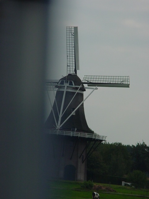 DSC00539