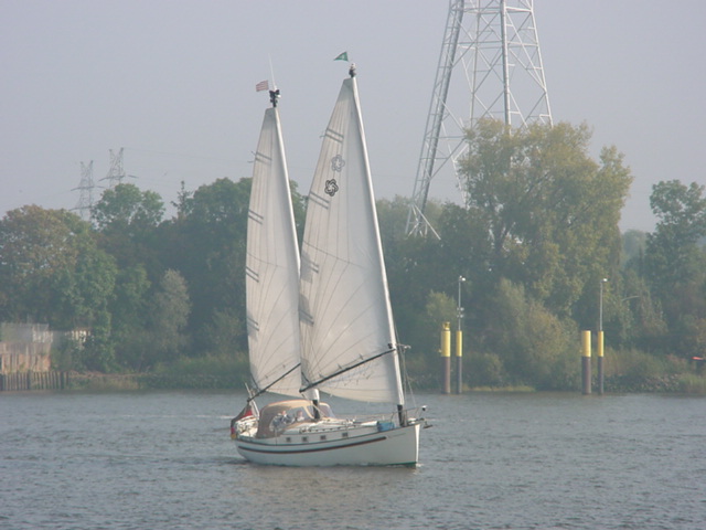 DSC00598