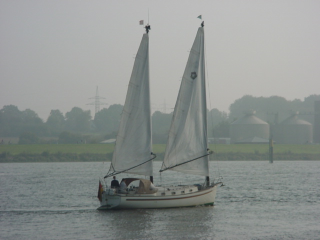 DSC00599