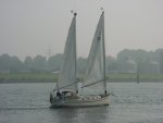 DSC00599