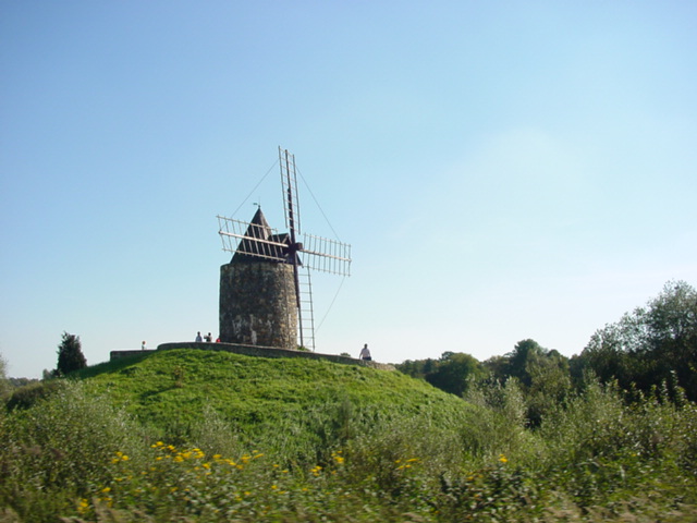 DSC00620