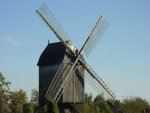 DSC00640