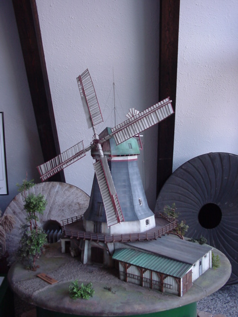 DSC00651