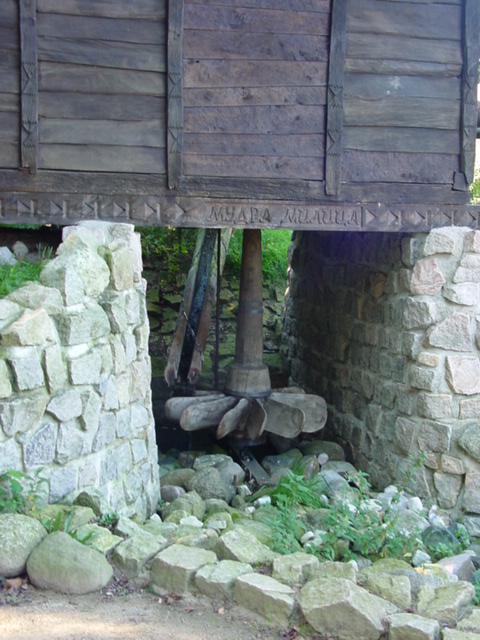 DSC00655
