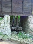 DSC00655
