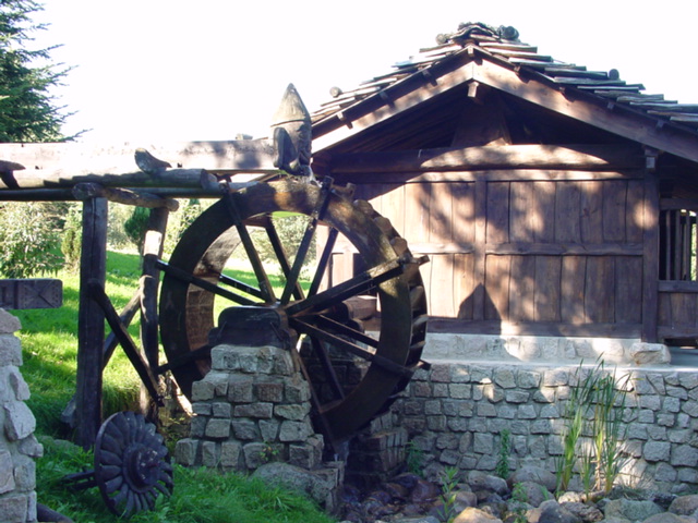 DSC00656