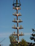 DSC00657
