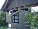 DSC00668