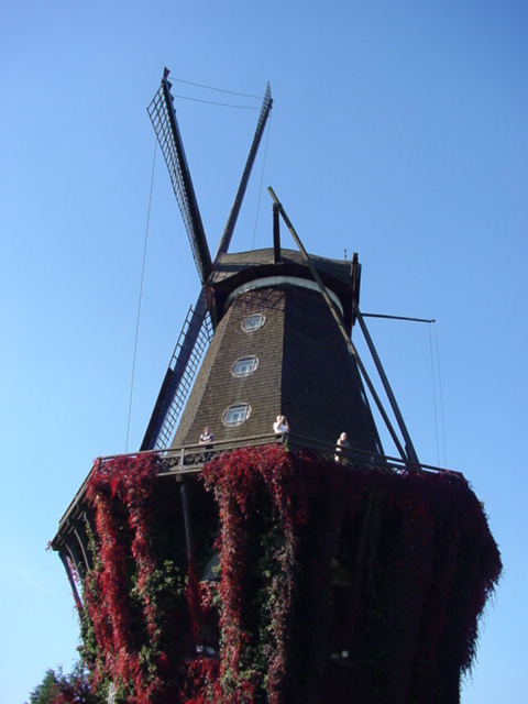 DSC00681