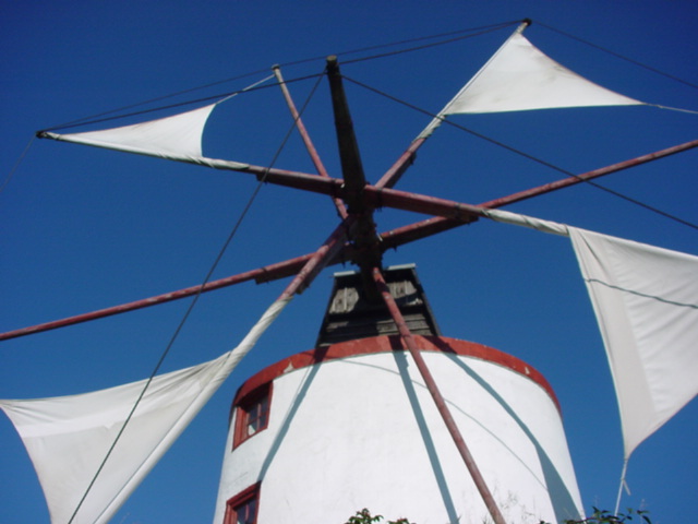 DSC00687