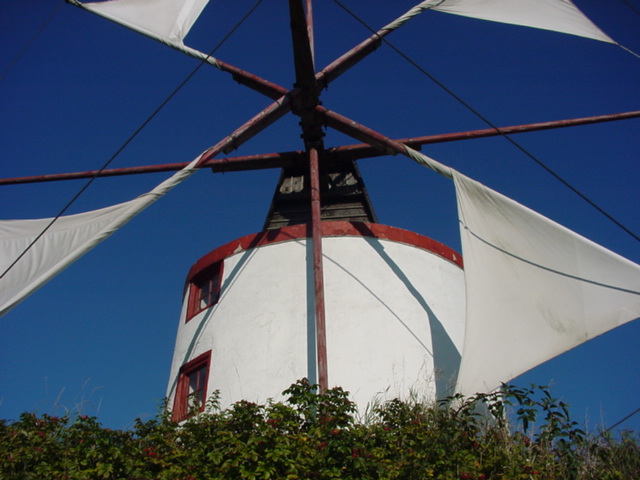 DSC00688
