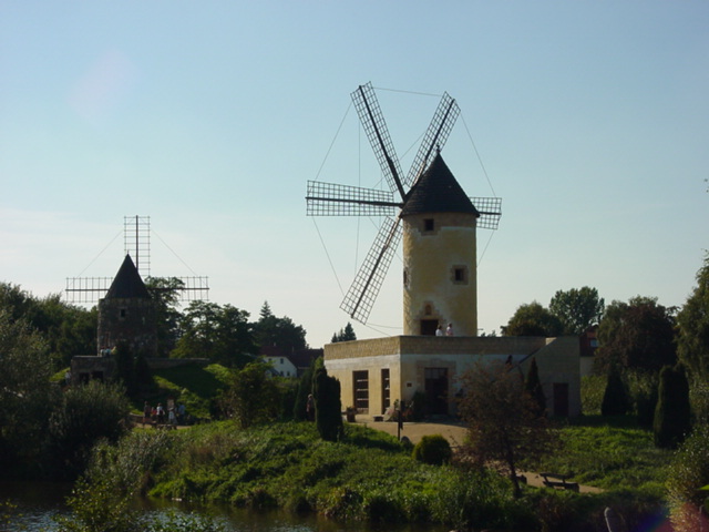 DSC00689