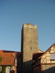 DSC00696