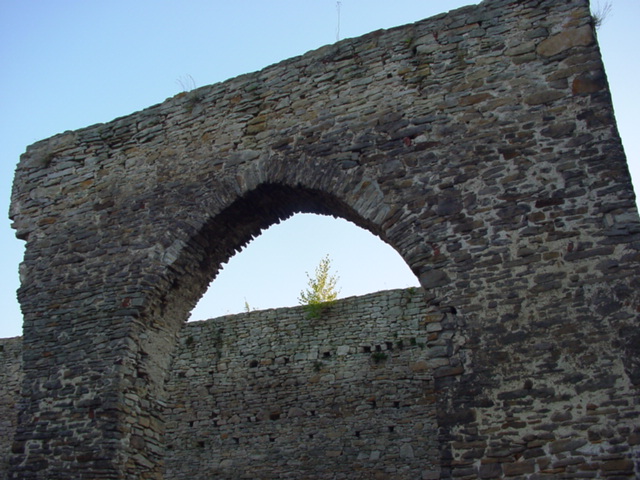 DSC00706