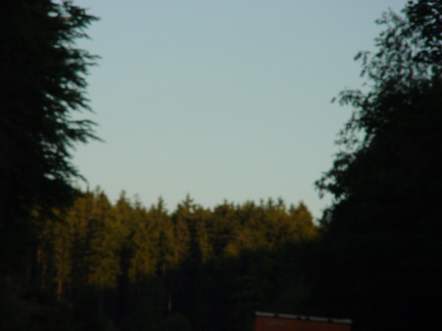 DSC00841