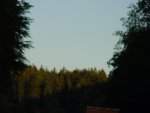 DSC00841