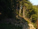 DSC00846