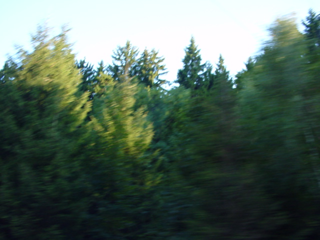 DSC00848