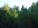 DSC00848